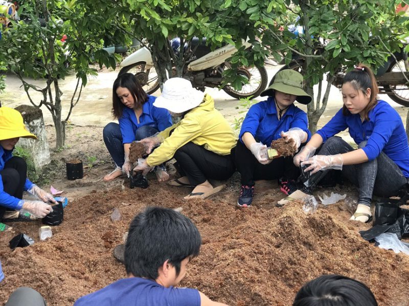 Đoàn Thanh niên Nông trường cao su Bến Súc ra quân trồng 300 cây Dầu