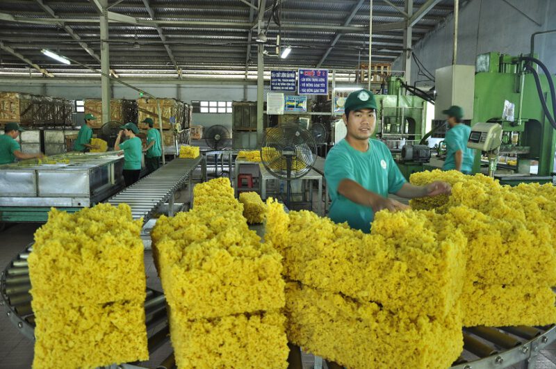 CÔNG ĐOÀN CAO SU DẦU TIẾNG PHÁT ĐỘNG PHONG TRÀO THI ĐUA QUÝ III NĂM 2019