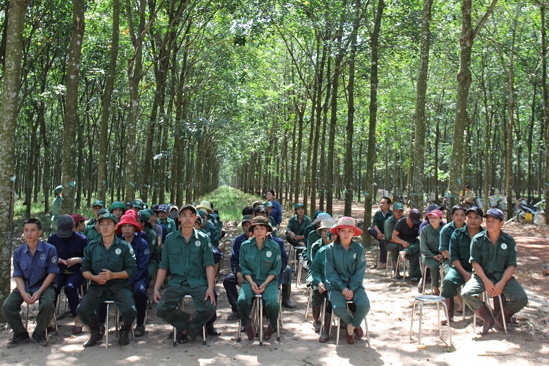 Công đoàn Cao su Việt Nam thưởng động viên phong trào thi đua nước rút 3 tháng cuối năm 2019