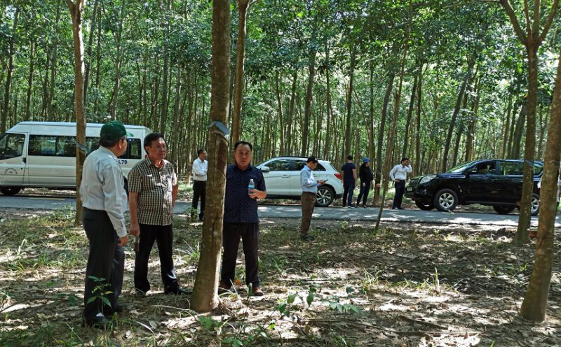 Đoàn cán bộ công ty cổ phần cao su Kontum đến thăm và làm việc