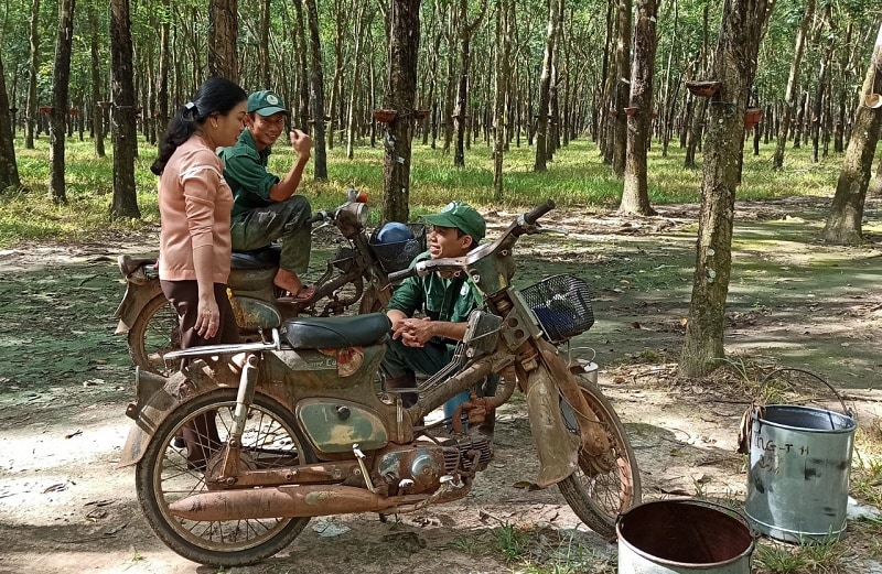 Công đoàn Công ty TNHH MTV Cao su Dầu Tiếng: Tuyên truyền, vận động, đẩy mạnh chăm lo đời sống vật chất - tinh thần giúp người công nhân an tâm sản xuất