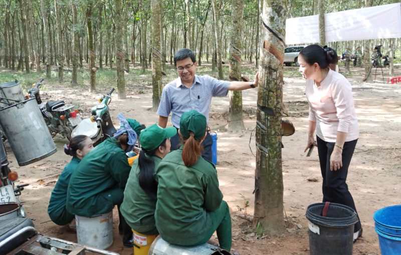 Công đoàn Cao su Dầu Tiếng với nhiều giải pháp động viên, hỗ trợ cùng công nhân phấn đấu hoàn thành kế hoạch