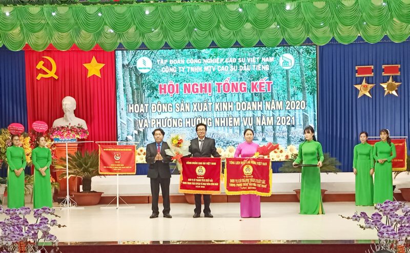 Công Ty TNHH MTV Cao Su Dầu Tiếng, doanh thu năm 2020 đạt 1.555 tỷ đồng