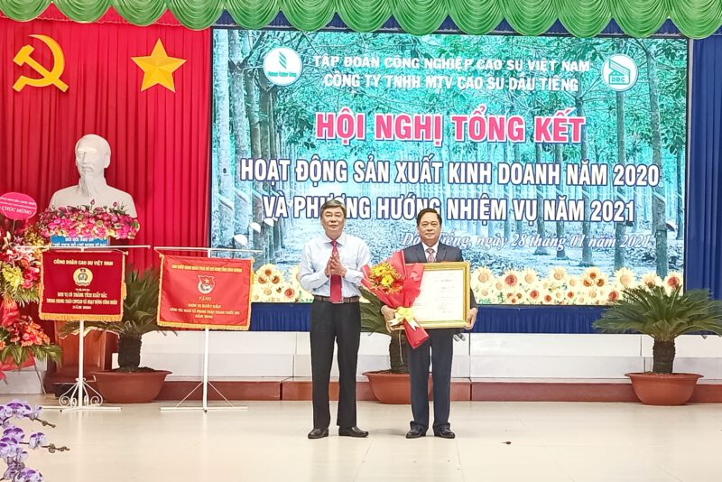 Công Ty TNHH MTV Cao Su Dầu Tiếng, doanh thu năm 2020 đạt 1.555 tỷ đồng