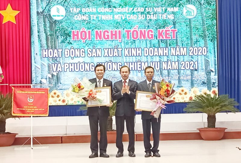 Công Ty TNHH MTV Cao Su Dầu Tiếng, doanh thu năm 2020 đạt 1.555 tỷ đồng