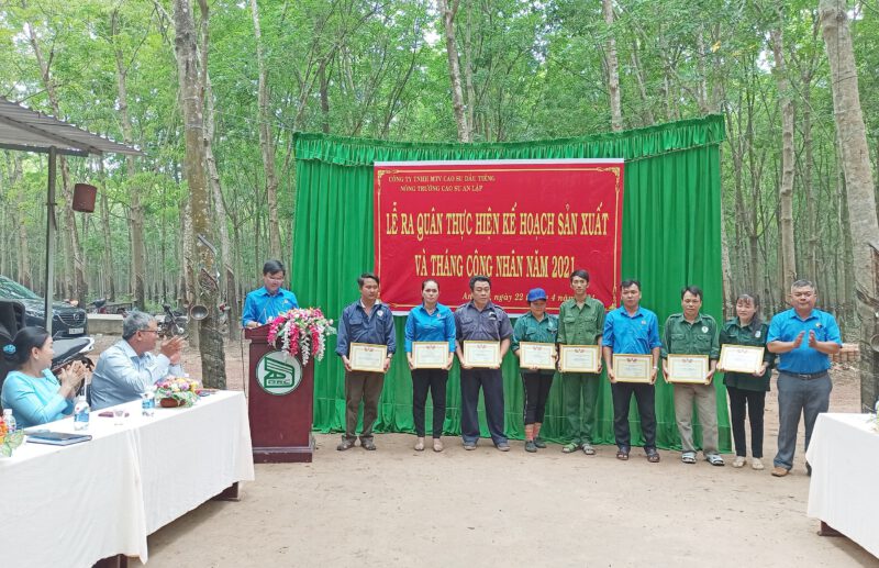 Các nông trường cao su thuộc Công ty TNHH MTV Cao su Dầu Tiếng đồng loạt ra quân thu hoạch mủ cao su và Tháng công nhân năm 2021