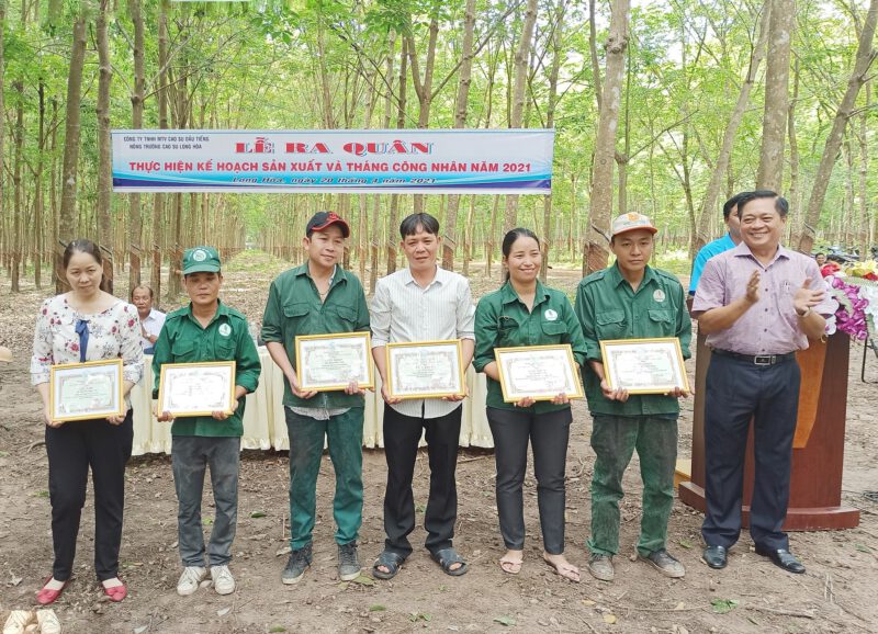 Các nông trường cao su thuộc Công ty TNHH MTV Cao su Dầu Tiếng đồng loạt ra quân thu hoạch mủ cao su và Tháng công nhân năm 2021