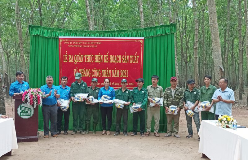 Các nông trường cao su thuộc Công ty TNHH MTV Cao su Dầu Tiếng đồng loạt ra quân thu hoạch mủ cao su và Tháng công nhân năm 2021