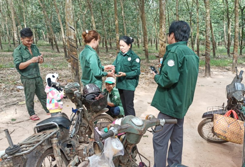 Đảng ủy Cao su Dầu Tiếng: Xây dựng Đảng và hệ thống chính trị vững mạnh gắn với học tập và làm theo tư tưởng tấm gương đạo đức Hồ Chí Minh