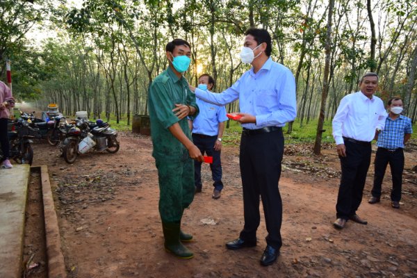 Công nhân khai thác hăng hái ngày đầu ra quân thu hoạch mủ cao su sau Tết Nguyên đán Xuân Nhâm Dần năm 2022