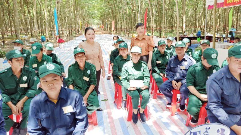 Nông trường Cao su Bến Súc, thúc đẩy phong trào rèn luyện tay nghề cạo mủ, nâng cao hiệu quả sản xuất