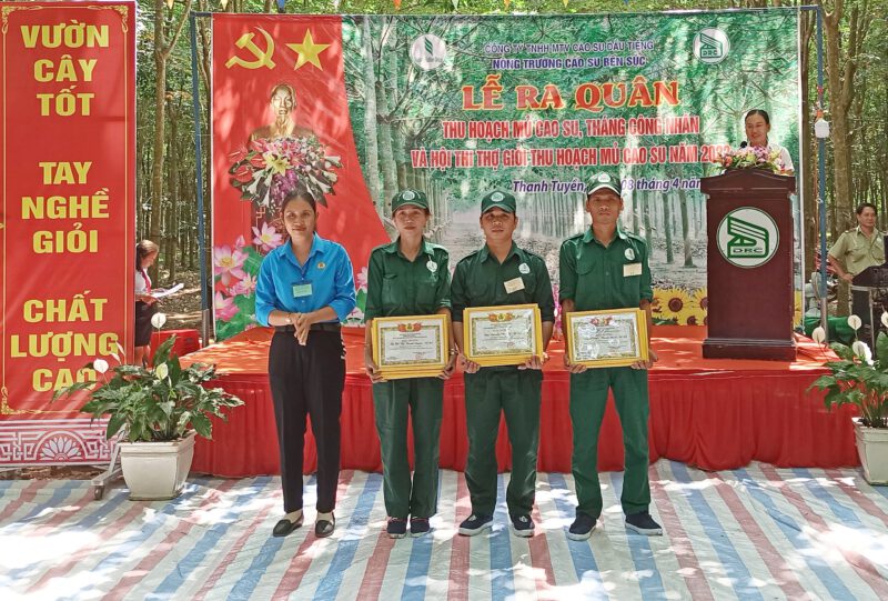 Nông trường Cao su Bến Súc, thúc đẩy phong trào rèn luyện tay nghề cạo mủ, nâng cao hiệu quả sản xuất