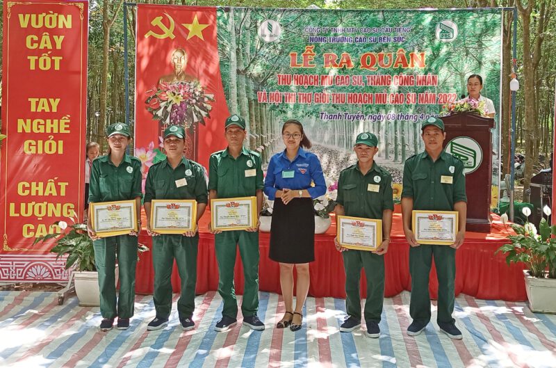 Nông trường Cao su Bến Súc, thúc đẩy phong trào rèn luyện tay nghề cạo mủ, nâng cao hiệu quả sản xuất