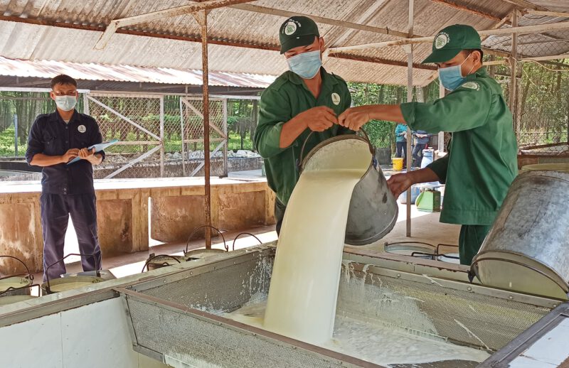 Nguyễn Thành Phẩm, làm công nhân khai thác phải tâm huyết - yêu nghề