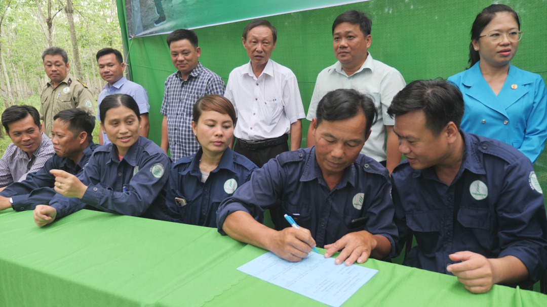 Nông trường Cao su Trần Văn Lưu quyết tâm hoàn thành nhiệm vụ được giao