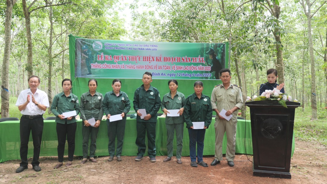 Nông trường Cao su Trần Văn Lưu quyết tâm hoàn thành nhiệm vụ được giao