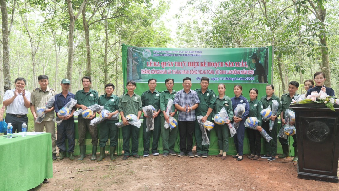 Nông trường Cao su Trần Văn Lưu quyết tâm hoàn thành nhiệm vụ được giao